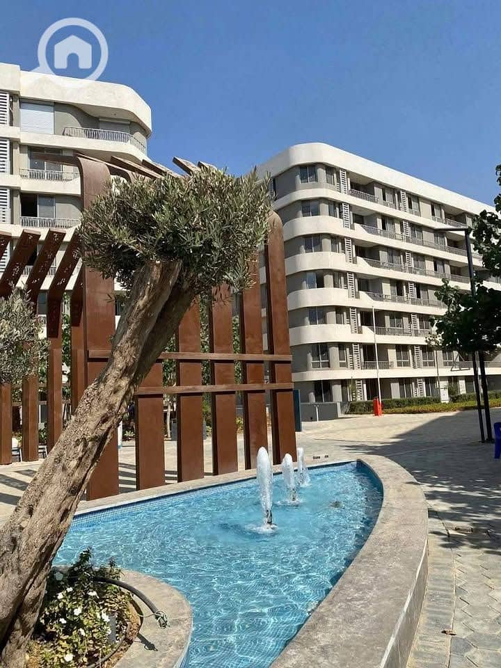 8 584608601_1387635489612827_5367723311335590226_n. jpg