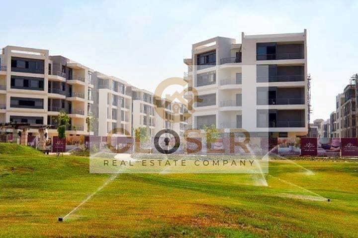 11 331600731_242140111502477_8027681748888532_n. jpg