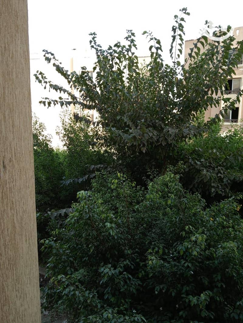 4 IMG-20251116-WA0217. jpg