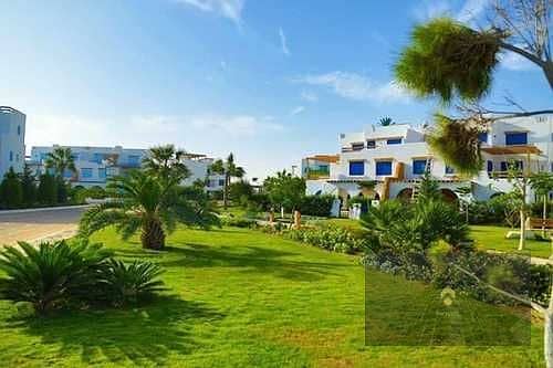 3 12OwkWMWpx1KM2whBZni7BekHxSUWTvK5UDXc0ra. jpg