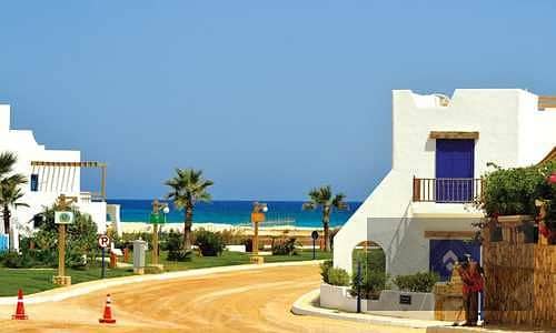 5 TVZeUMN5JlisdY9fI06JP3lg20Ka5MugOA4nuAPs (1). jpg