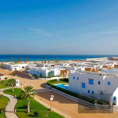 7 d9JaUCGU21Gs2Z4PCB0puGUxTIwCADIsjXEx83WF (1). jpg