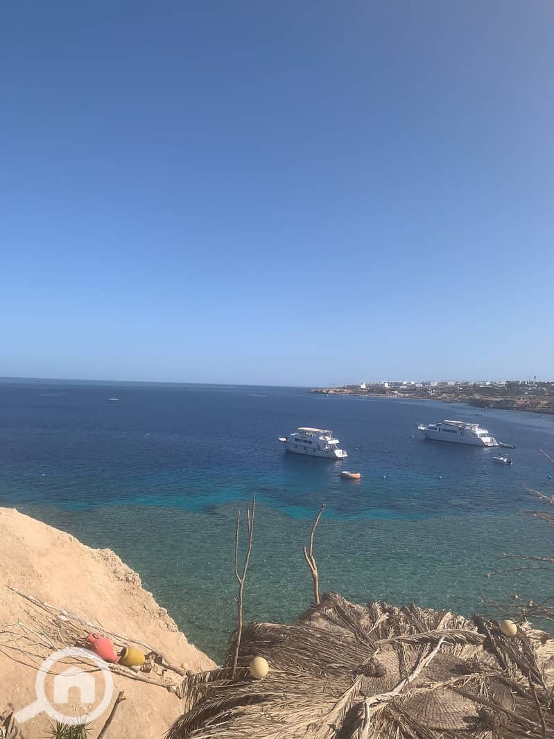 5 ed995eb3-f8e2-4abe-8f31-5f88011213a6. jpg