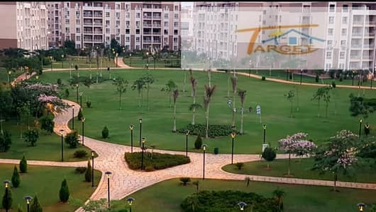 3 Bedroom Flat for Rent in Madinaty, Cairo - WhatsApp Image 2025-11-19 at 4.43. 07 PM. jpeg