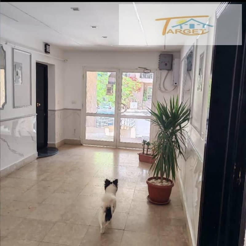 8 WhatsApp Image 2025-10-05 at 8.33. 13 PM (2). jpeg