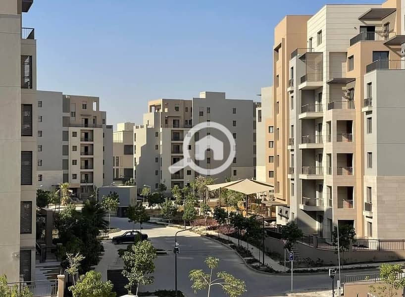 4 WhatsApp Image 2025-05-03 at 4.23. 41 PM. jpeg