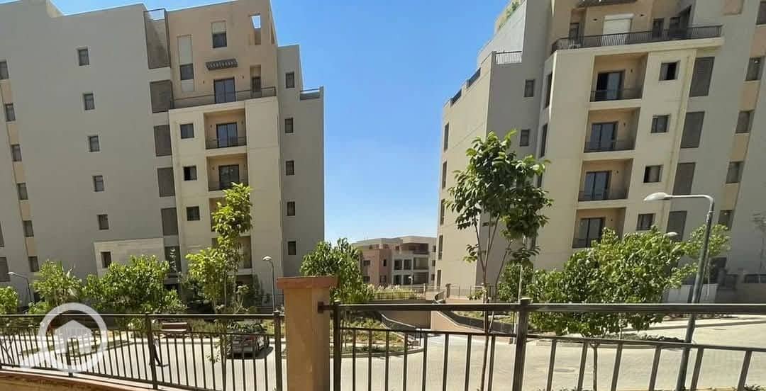 11 WhatsApp Image 2025-02-17 at 3.20. 26 PM. jpeg