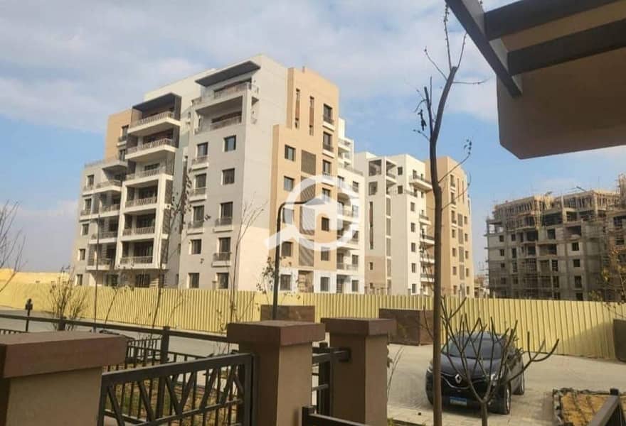 12 WhatsApp Image 2025-02-17 at 3.20. 24 PM (2). jpeg