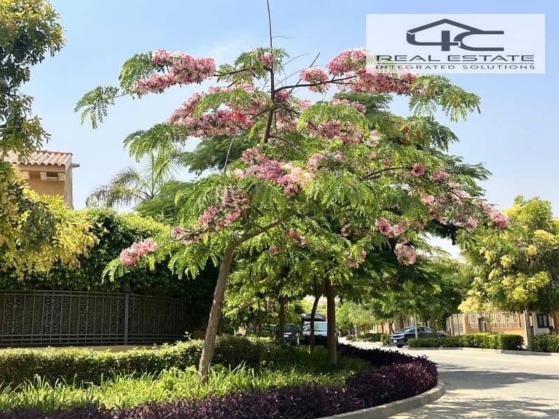 10 2023_06_20_10_54_IMG_9435. jpg