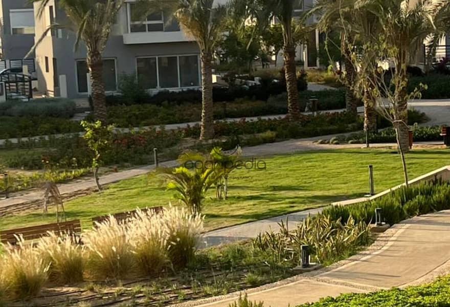 6 37c00dd9-dbf9-438d-9847-c8c7b7582f4a. jpg