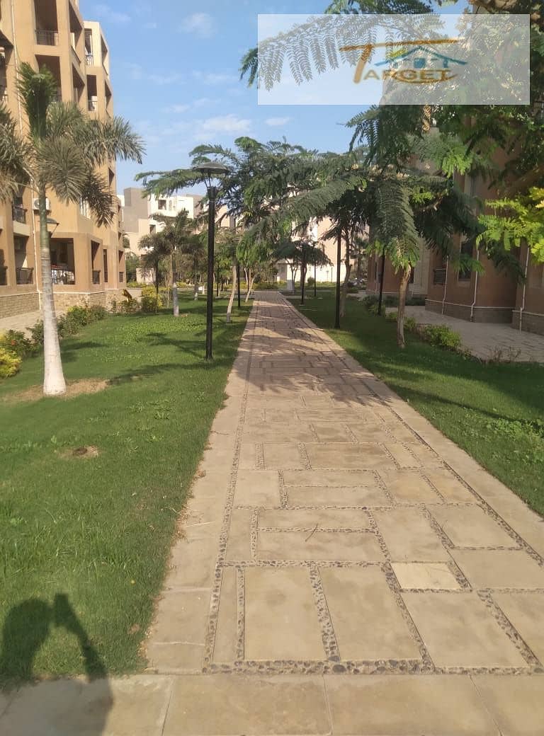 8 580503704_1273343568147133_2186870869124565595_n. jpg