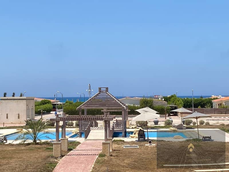 3 458183441_891432743034005_4787551378601538415_n. jpg