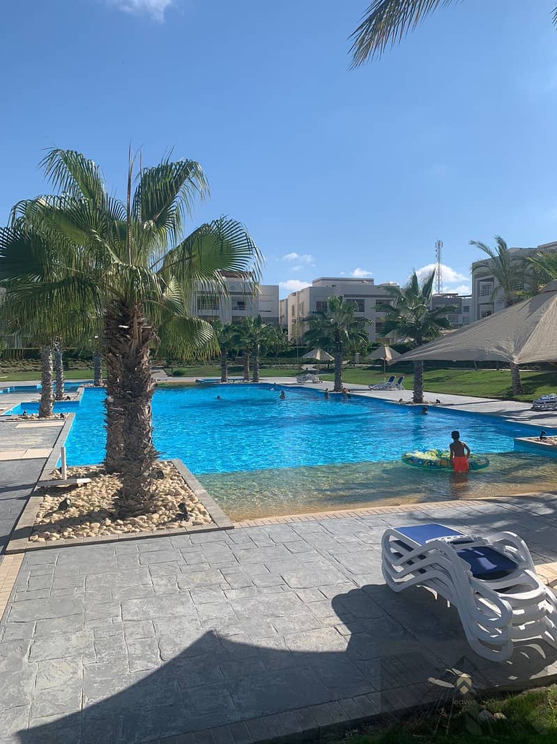 4 458322621_891430453034234_7484069892959571953_n. jpg