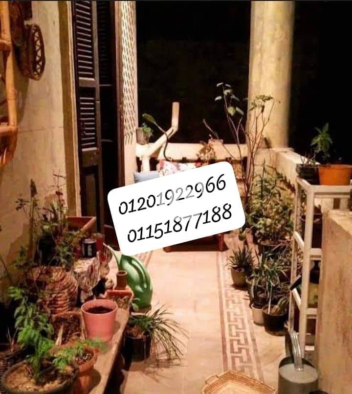 WhatsApp Image 2025-11-19 at 5.00. 34 PM. jpeg