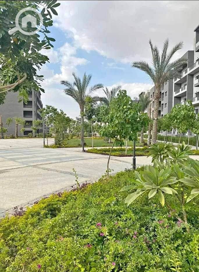 4 503991620_9825261090860626_1121729679381832694_n. jpg