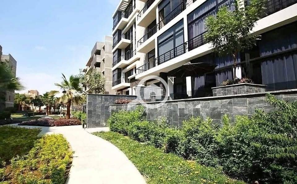 6 540692087_24465233853138532_1755233549859381026_n. jpg