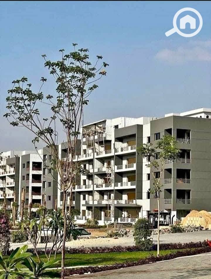 7 511913240_9701686386607887_388577356565595049_n. jpg