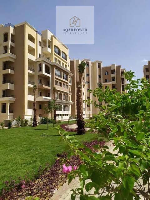 10 dfce84aa-1dee-4bde-a00d-7284539a503b. jpeg