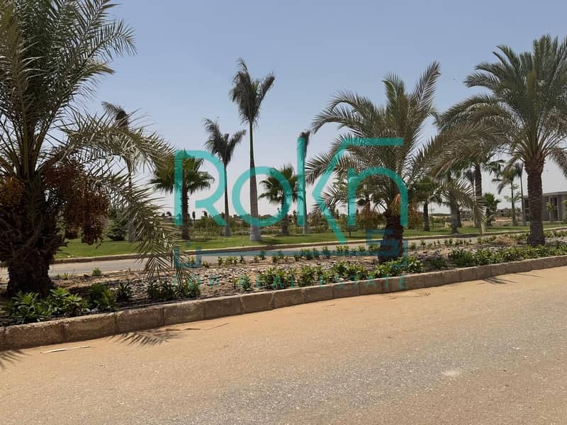 3 IMG-20251112-WA0098. jpg