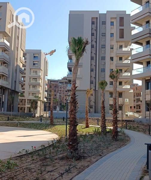 10 550818752_122178670742452445_4603389085226305474_n. jpg