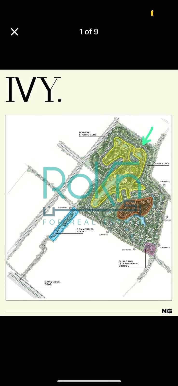 6 d1ab0890-a20d-4775-9021-d134cd3148ad. jpg