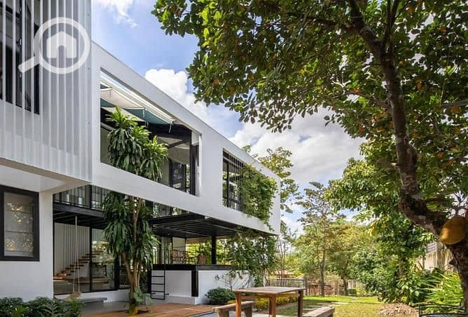 3 4766107-66ea6o. jpg