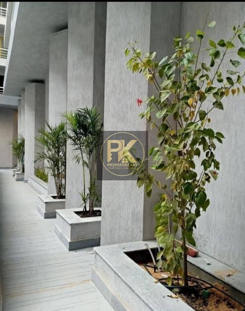 8763CA0C-0B5F-4FE7-8F56-4340BB6AC287. jpeg