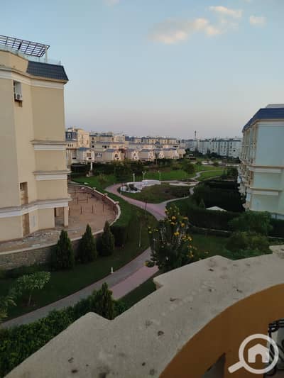 2 Bedroom Apartment for Rent in New Cairo, Cairo - 1000715263. jpg