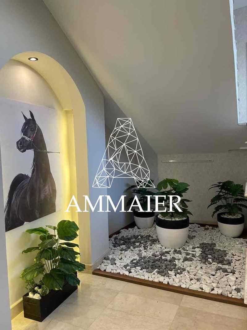 10 83703adb-ffab-410e-a7a7-10a54c134b65. jpg