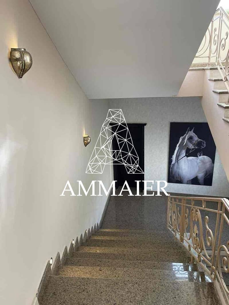 16 e02fdd55-3dfc-4e8a-86ab-9342420b587f. jpg