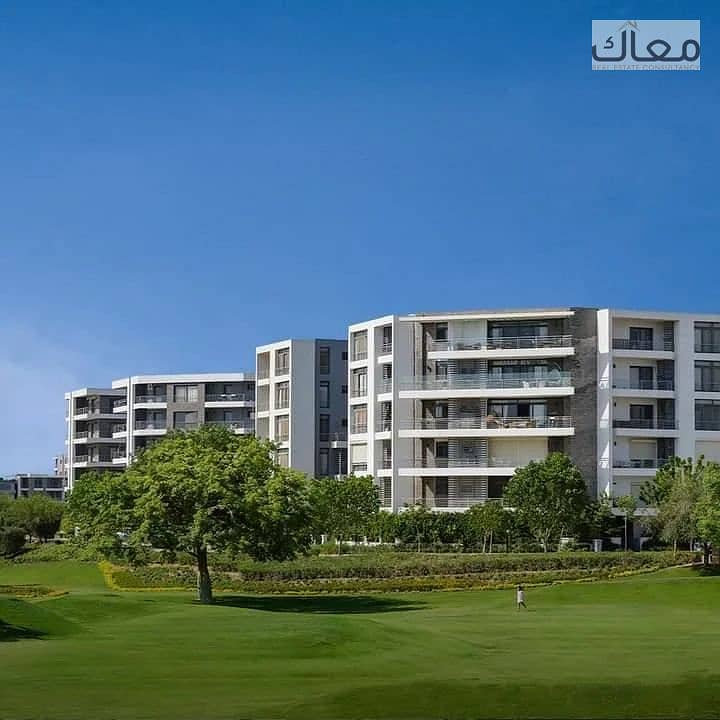 2 20250728_1544_image. png