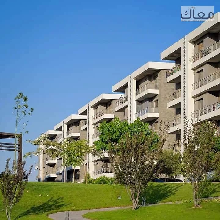 3 20250728_1543_image. png