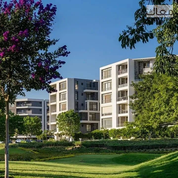 6 20250728_1546_image. png