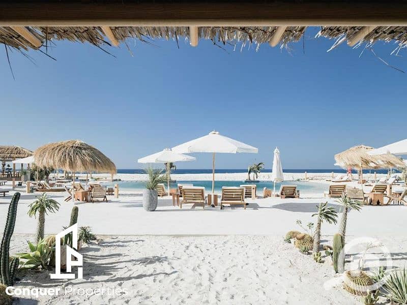 7 Untitled design - 2023-07-26T170214.393. png