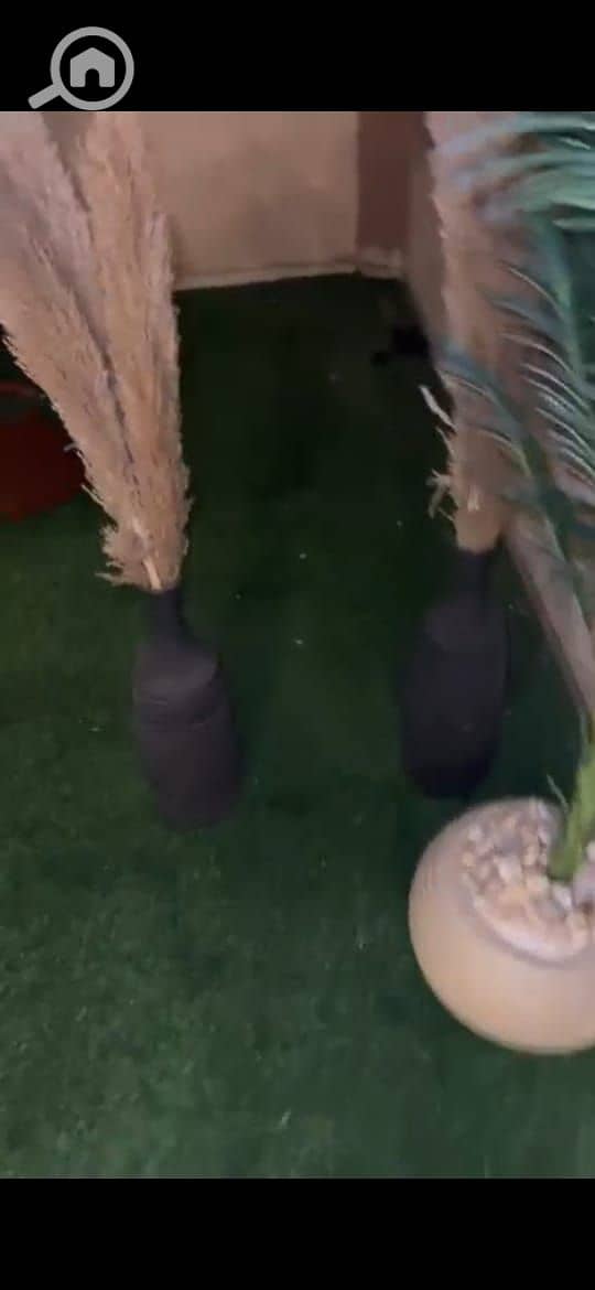 4 5d242a98-e721-4829-b899-81aacb0f4c03. jpeg