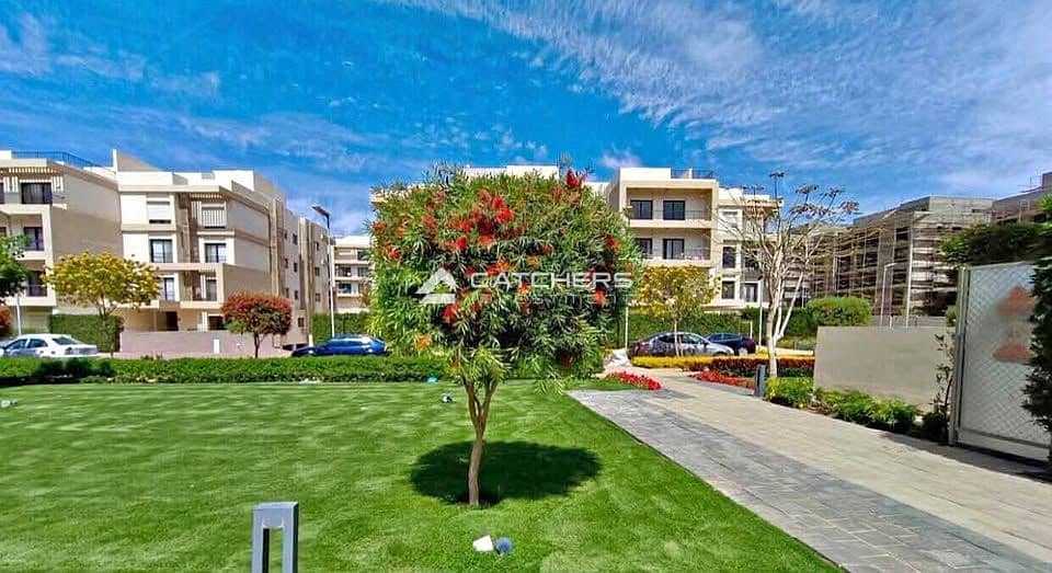 7 582480188_1458825548546128_8907302689237405968_n. jpg