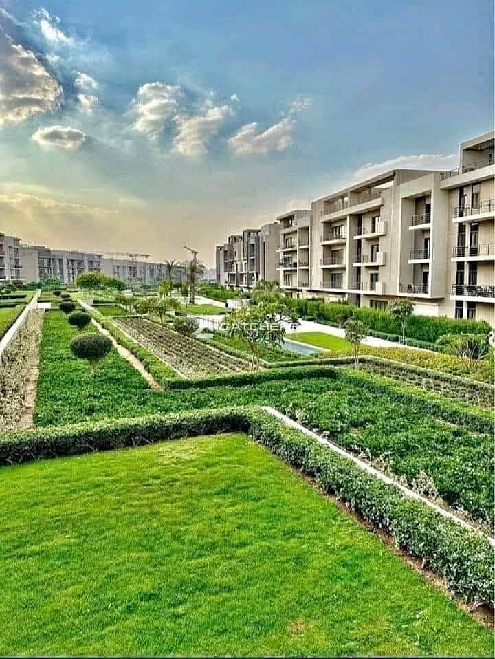 10 583147707_824463900368792_3341359532601876408_n. jpg