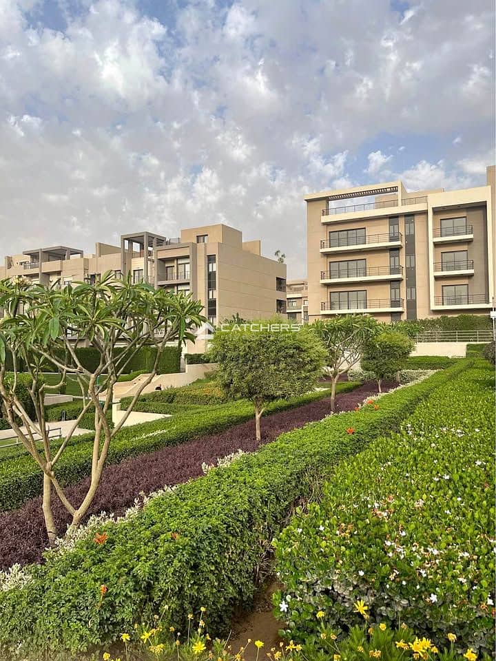 11 583909959_1198118525550373_2592335061575423121_n. jpg