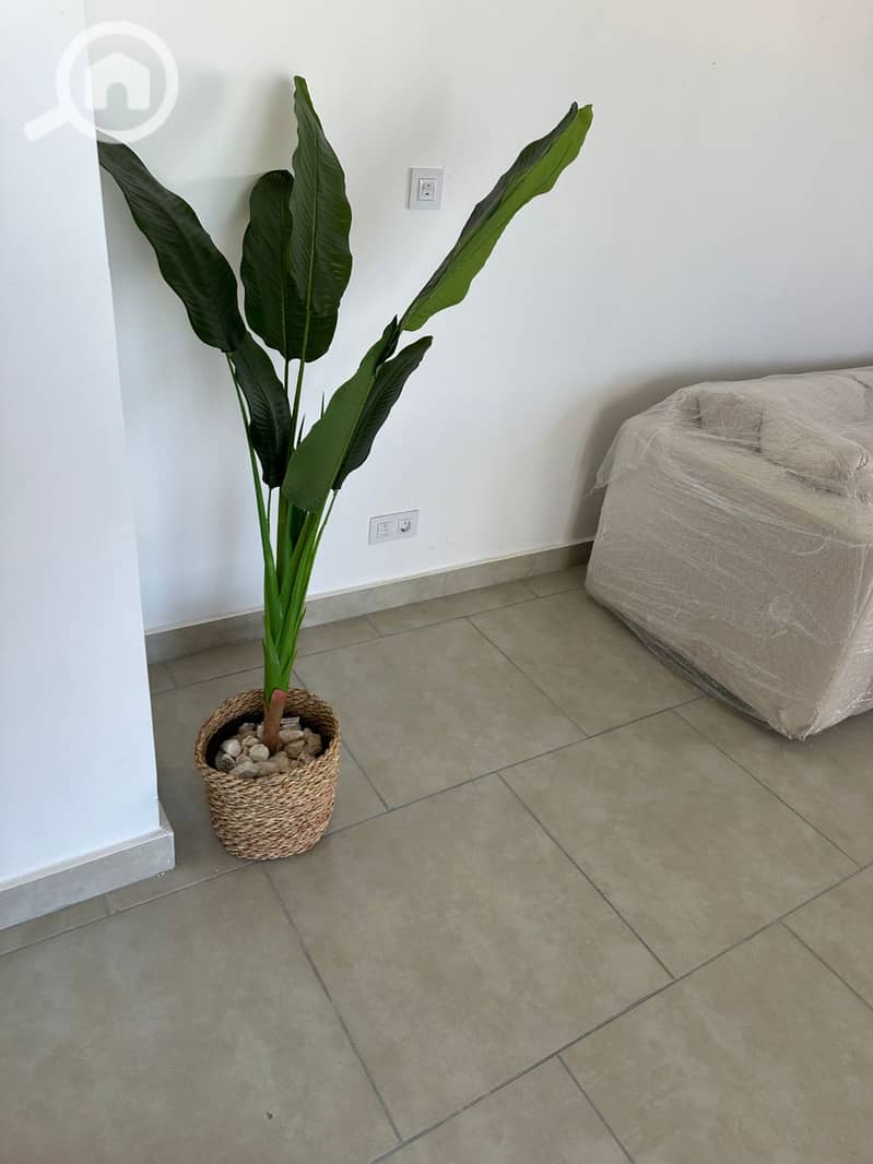 4 WhatsApp Image 2025-10-20 at 9.16. 37 PM (4). jpeg