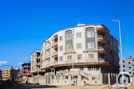 فلیٹ 3 غرف نوم للبيع في دمياط الجديدة، دمياط - IMG_2352. jpg