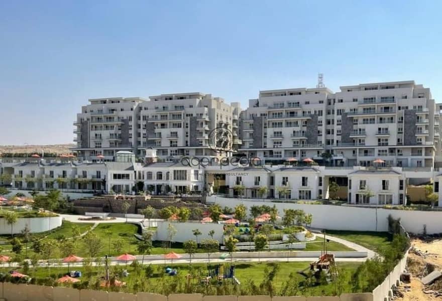 6 e00cf242-db03-4b2d-ab21-a5326f06b57d. jpg