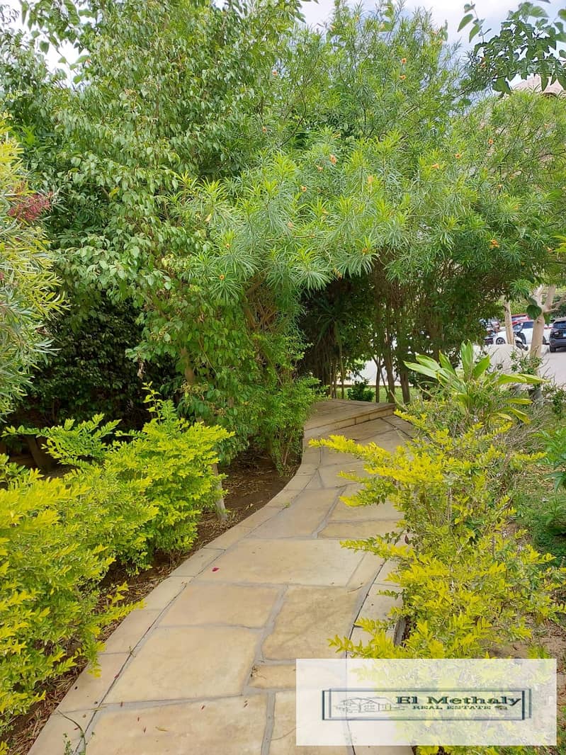 3 2302563e-022d-458c-8e67-355e266f111b. jpg