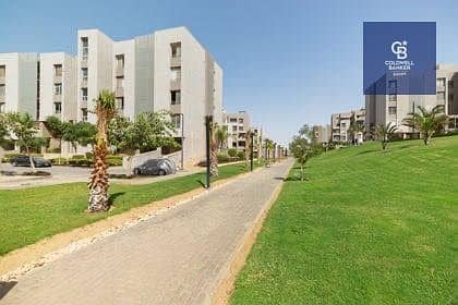 6 558905613_10240080515617561_1847703645307977261_n. jpg