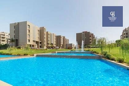 9 559952207_10240080514537534_568904269358104973_n. jpg