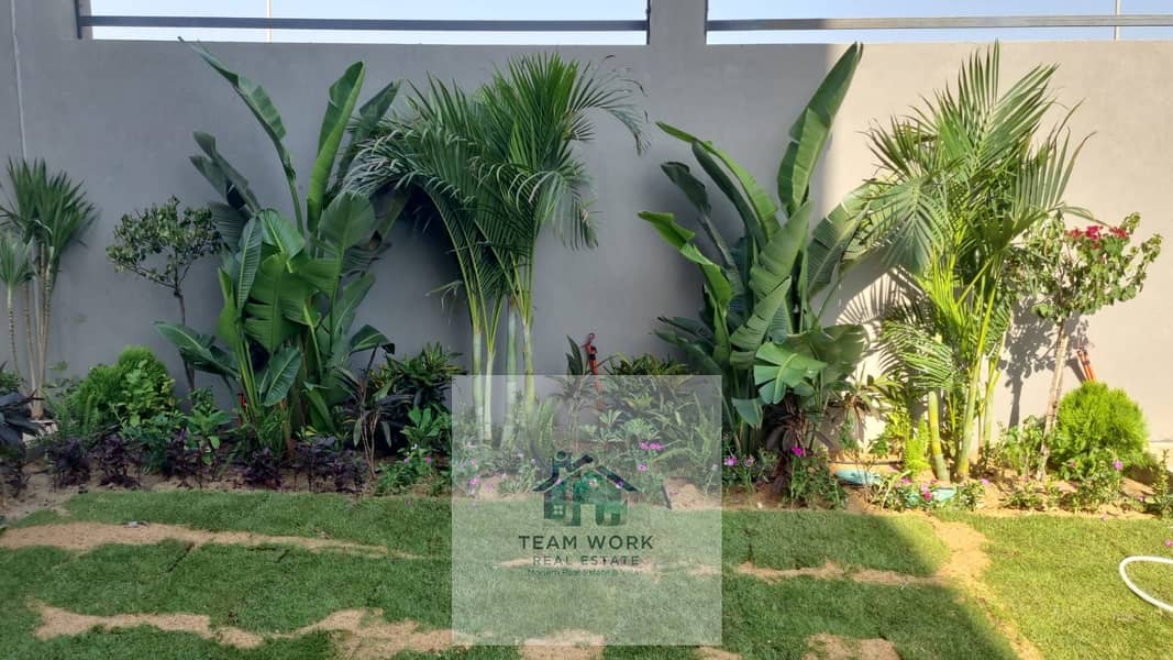 3 4aeae577-fe56-4324-ba04-0dc1eb9c48a2. jpg