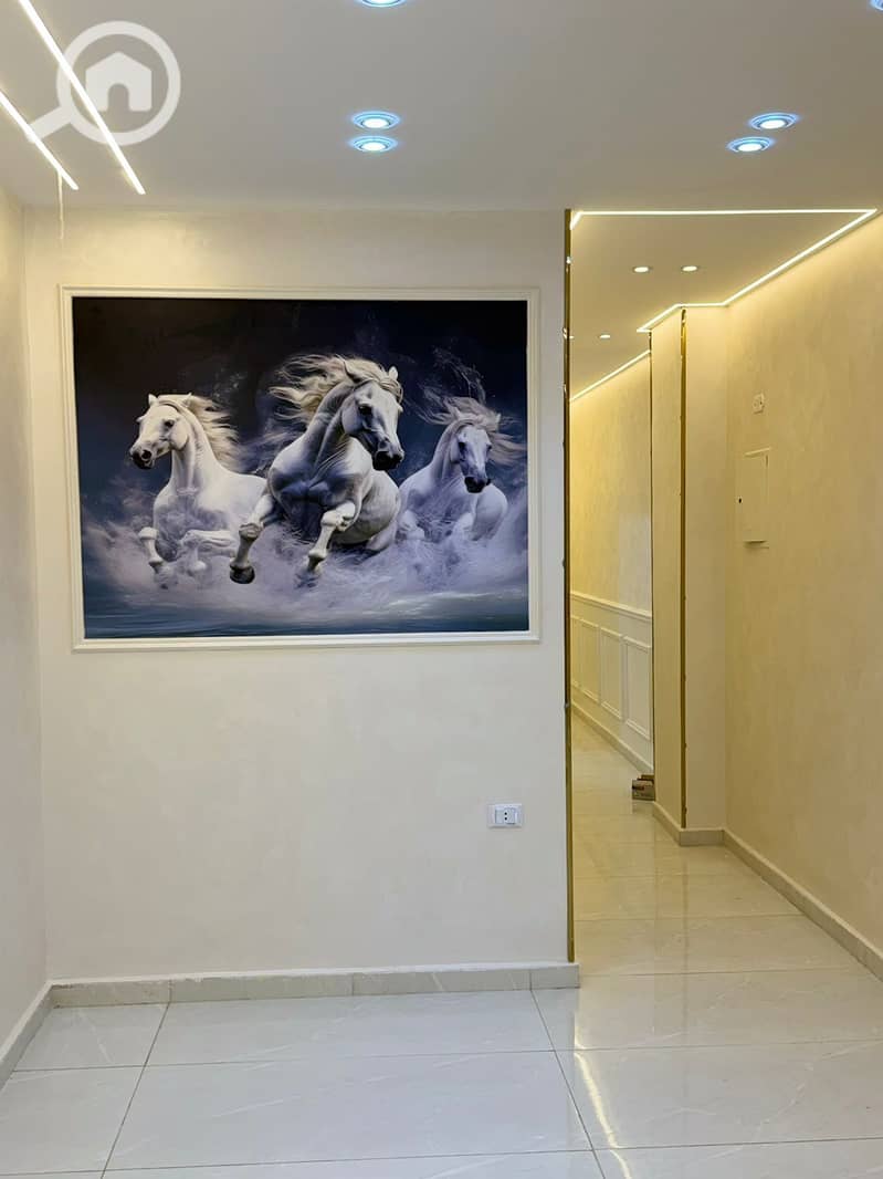 7 c50854a0-4b08-41a0-914d-11b5ff98f087. jpg