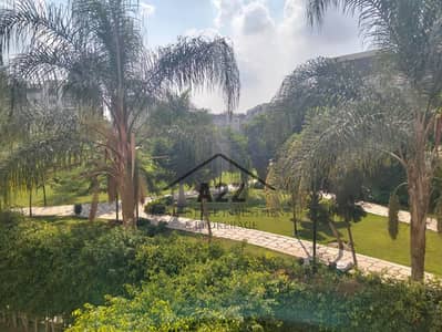 4 Bedroom Apartment for Sale in Madinaty, Cairo - WhatsApp Image 2025-11-19 at 12.34. 03 PM (1). jpeg 4 Bedroom Apartment for Sale in Madinaty, Cairo - WhatsApp Image 2025-11-19 at 12.34. 03 PM (1). jpeg