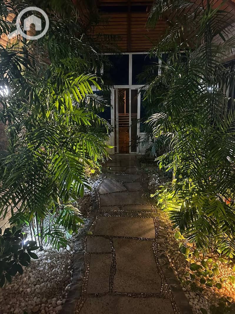 13 be3e8abc-e08a-4026-acfa-5b36cf5e03aa. jpg