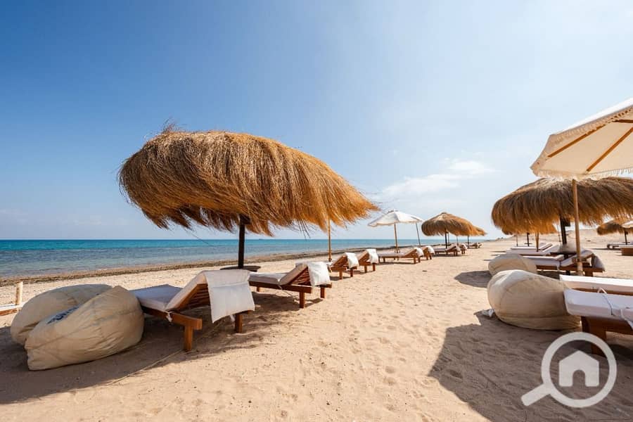 7 photo_2025-02-21_18-48-41. jpg