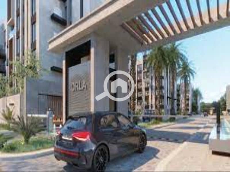 3 images (2). jfif. jpg